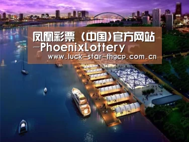 案例展示八