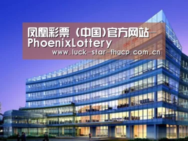 案例展示五
