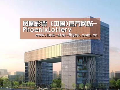 案例展示四